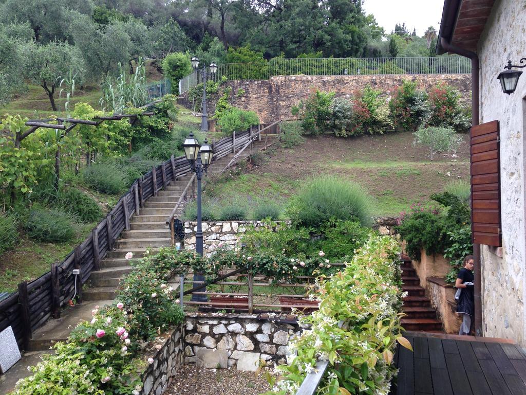 Lady Frantoio Toscano Corsanico-Bargecchia Exteriör bild