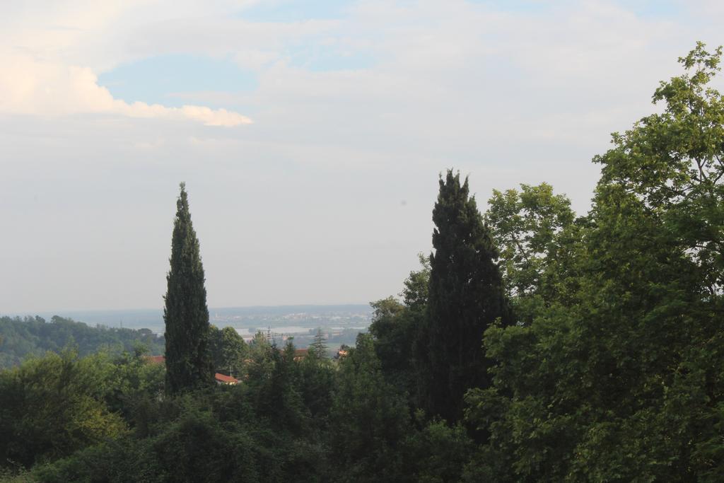 Lady Frantoio Toscano Corsanico-Bargecchia Exteriör bild